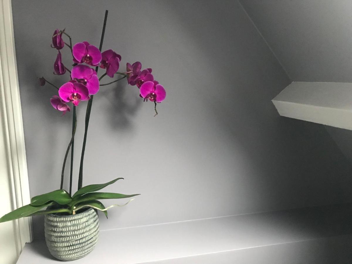 Bed And Breakfast The Rose Haarlem Ngoại thất bức ảnh